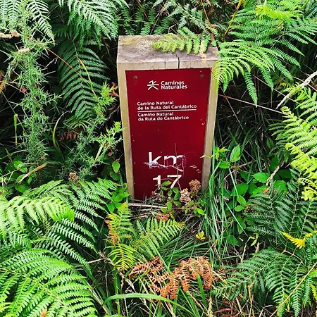 Estrella De * O Vicedo