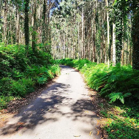 Διαμέρισμα Estrella De