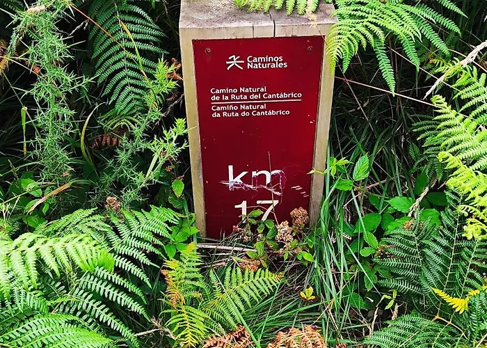 Estrella De * O Vicedo