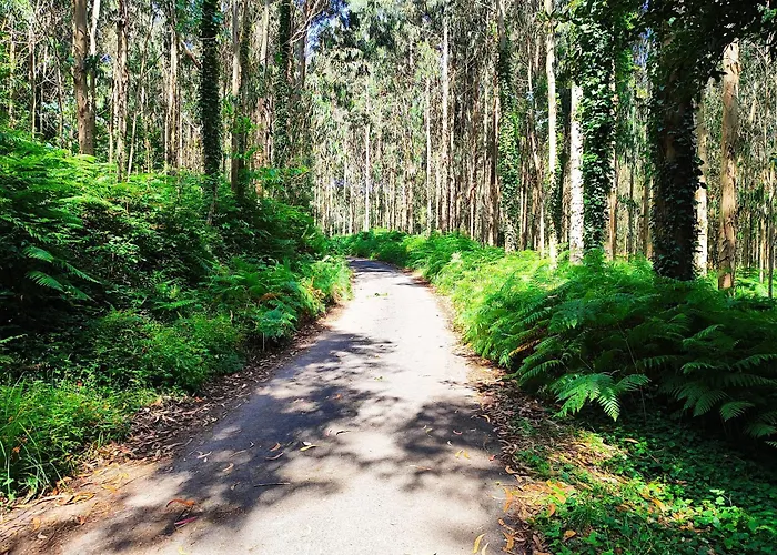 Διαμέρισμα Estrella De